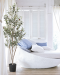 Artificial Olive Tree, 5 ft, in Black Pot in a real room